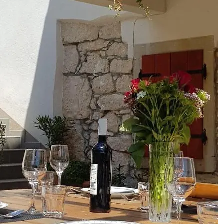 Istra-pavincica *